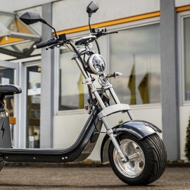 Madat A CP-3 Elektroroller E Scooter E Chopper Elektrochopper E Roller Dreirad 45 Km/h 20 Ah Akku 30-40 km