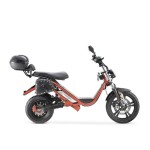 DAYI E Thor 6.0B E Scooter E Roller Elektroroller 45-50Km/h 38Ah Akku 85-90Km