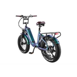 Fafrees F20 Master – Premium E-Bike