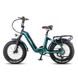 Fafrees F20 Master – Premium E-Bike