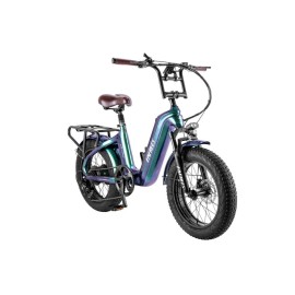 Fafrees F20 Master – Premium E-Bike