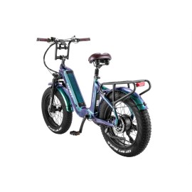 Fafrees F20 Master – Premium E-Bike