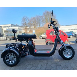 Madat CP-3 Elektroroller Zweisitzer – Dreirad, 45 km/h (25 km/h Option), 20 Ah Akku, 40 km Reichweite, Braun