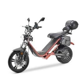 DAYI E Thor 6.0B E Scooter E Roller Elektroroller 45-50Km/h 38Ah Akku 85-90Km