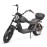 Madat Rooley Citycoco E roller Electric scooter 12 inch up to 45 km/h 40 ah battery 100-120km (without rear box)