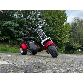 Madat A CP-7 Elektroroller E Scooter E Chopper Elektrochopper E Roller Dreirad 25/45 Km/h 40 Ah Akku 60-70 km