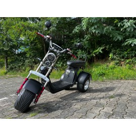 Madat A CP-7 Elektroroller E Scooter E Chopper Elektrochopper E Roller Dreirad 25/45 Km/h 40 Ah Akku 60-70 km
