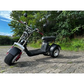 Madat A CP-7 Elektroroller E Scooter E Chopper Elektrochopper E Roller Dreirad 25/45 Km/h 40 Ah Akku 60-70 km