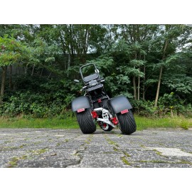Madat A CP-7 Elektroroller E Scooter E Chopper Elektrochopper E Roller Dreirad 25/45 Km/h 40 Ah Akku 60-70 km