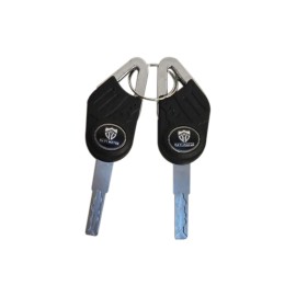 DAYI Schlüsselsatz für Dayi E thor 6.0B E thor 5.0C E gen E-Scooter E-Roller E-Motorrad Ersatzteile