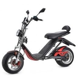 DAYI E Thor 3.0A Elektroroller E Roller E Scooter Sporty 45 Km/h 30Ah Akku 60-65 Km (ohne Kofferraum und Seitentasche)