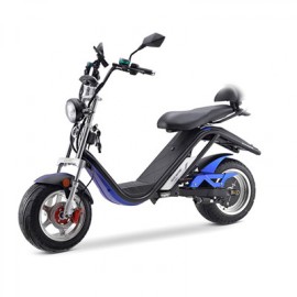DAYI E Thor 3.0A Elektroroller E Roller E Scooter Sporty 45 Km/h 30Ah Akku 60-65 Km (ohne Kofferraum und Seitentasche)