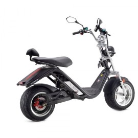 DAYI E Thor 3.0A Elektroroller E Roller E Scooter Sporty 45 Km/h 30Ah Akku 60-65 Km (ohne Kofferraum und Seitentasche)