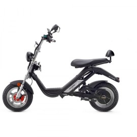 DAYI E Thor 3.0A Elektroroller E Roller E Scooter Sporty 45 Km/h 30Ah Akku 60-65 Km (ohne Kofferraum und Seitentasche)