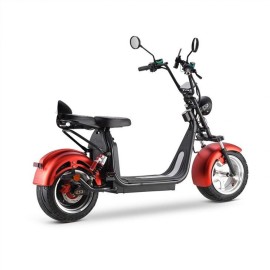 DAYI E Gen 4.0AL E Scooter E Roller Elektroroller mit 100 km reichweite 45Km/h 40Ah Doppelbatterie 95-105Km ohne Kofferraum und Seitentasche