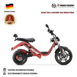 DAYI E Thor 6.0B E Scooter E Roller Elektroroller 45-50Km/h 38Ah Akku 85-90Km ohne Kofferraum und Seitentasche