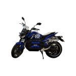 DAYI E-Odin 2.0 E Roller E Scooter E Motorrad 17 Zoll 125-130 km/h 100 Ah Akku 150-220 km (mit Topcase und Seitenkoffer)