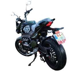 DAYI E-Odin 3.0 Pro 10KW E roller E Scooter E Motorrad 17 Zoll 120 km/h 120Ah Akku 210 km