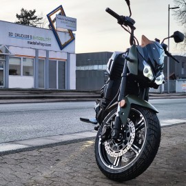 DAYI E-Odin 3.0 Pro 10KW E roller E Scooter E Motorrad 17 Zoll 120 km/h 120Ah Akku 210 km