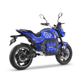 DAYI E-Odin 2.0 E Roller E Scooter E Motorrad 17 Zoll 125-130 km/h 120 Ah Akku 150-250 km (ohne Topcase und Seitenkoffer)