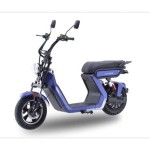 DAYI E Baldur 2.0 E Scooter E Roller Elektroroller 45-60 Km/h 30Ah Akku 