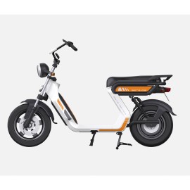 DAYI E Baldur 2.0 E Scooter E Roller Elektroroller 45-60 Km/h 30Ah Akku