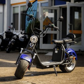 DAYI E Gen 4.0AL E Scooter E Roller Elektroroller mit 100 km reichweite 45Km/h 40Ah Doppelbatterie 95-105Km ohne Kofferraum und Seitentasche