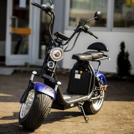 DAYI E Gen 4.0AL E Scooter E Roller Elektroroller mit 100 km reichweite 45Km/h 40Ah Doppelbatterie 95-105Km ohne Kofferraum und Seitentasche