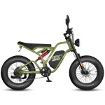 E-Bike Fafrees F20 Ultra Upgrade