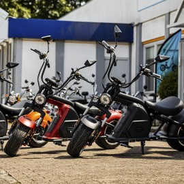 Madat 8 Elektroroller E Chopper Elektrochopper E Roller E Scooter 45 km/h 30 Ah Akku 40-60 km